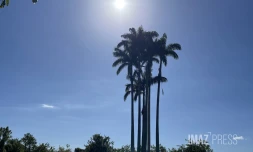 météo réunion