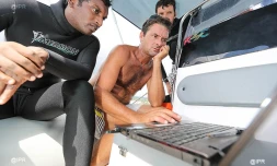 scientifique requins