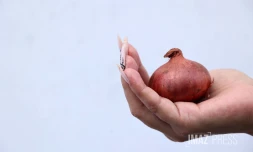 pénurie sur les oignons