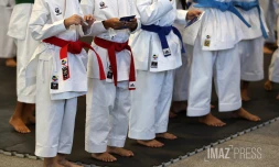 coupe karate combat 
