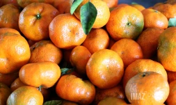 mandarine péi 