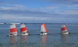 Les élèves de Saint-Paul cartonnent au Challenge régional de voile