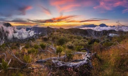 Gilles Taochy photos téléphone au réflex