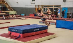 Gymnastes belges Le Port