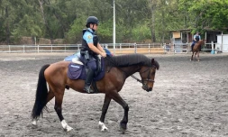 Gendarmerie : exercice du groupe à cheval à l'Hermitage