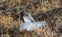 pollution plastique 