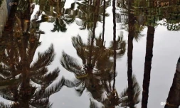 Fortes pluies