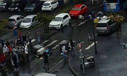 Blocage jeunes Camélias 