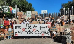 Action contre le zoo de l'Etang-Salé qui prévoit d'ouvrir prochainement ses portes