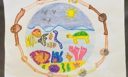 Réserve marine : les gagnants du concours de dessin dévoilés