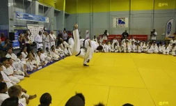Teddy Riner judo