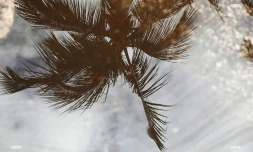 météo réunion 