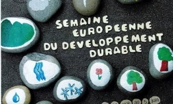 SEDD
