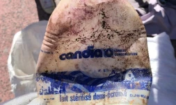 Goodbye Plastic, association nautique de Saint-Pierre, bouteille de lait, déchet, opération nettoyage