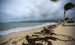 Pris au pière / Ouragan Irma / Making Of AFP