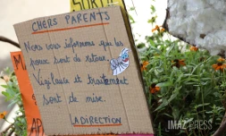 problème poux à l'école 