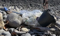Sainte-Marie : plus d'une cinquantaine de bénévoles mobilisés pour nettoyer le littoral