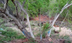 chemin casabona saint-pierre