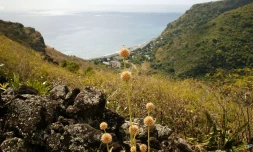 météo Réunion 