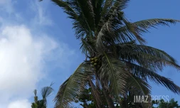 La météo sur La Réunion