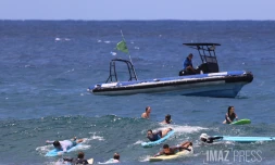école de surf 