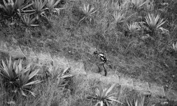 grand raid 2015