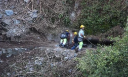 Canalisation des hirondelles
