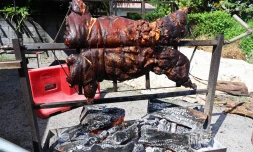 cochon grillé 