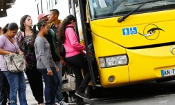 Bus 