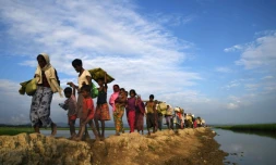 Des réfugiés rohingyas marchent vers le camp de Balukhali après avoir fui la Birmanie, le 2 novembre 2017 au Bangladesh