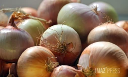 pénurie sur les oignons 