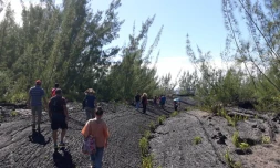 Balade-spectacle Pointe de la Table