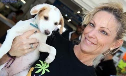 Chiens à l\'adoption - RPA