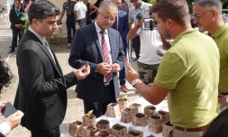 don arbres université