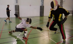Sélection réunionnaise canne de combat