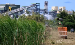récolte mécanisée de la canne 