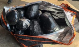 Un réseau démantelé entre La Réunion et Maurice : neuf interpellations et 225 kg de zamal saisis