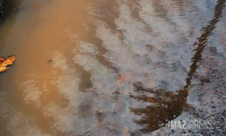 temps gris , nuageux , pluie 