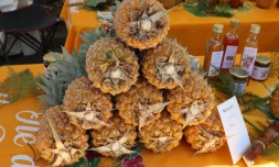 Saint-Benoit : un marché des producteurs tous les mercredis 