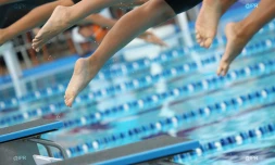 Natation 