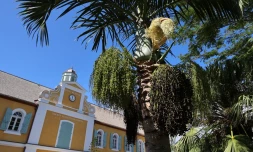 mairie de Saint-Pierre