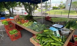 Saint-Pierre : un marché forain dédié au personnel de santé