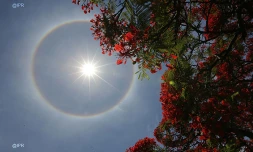 Halo