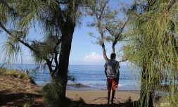 plage Etang- Salé