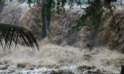 retour photo berguitta