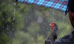Pluie Ă Saint-Denis