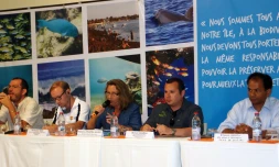 séminaire sur la gestion du risque requin