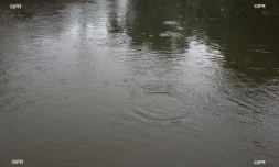 Fortes pluies