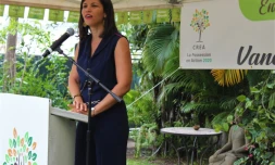 Candidature Vanessa Miranville La Possession 2020