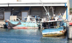 Migrants : sept hommes viennent d'arriver au Port-Ouest - mercredi 26 décembre
